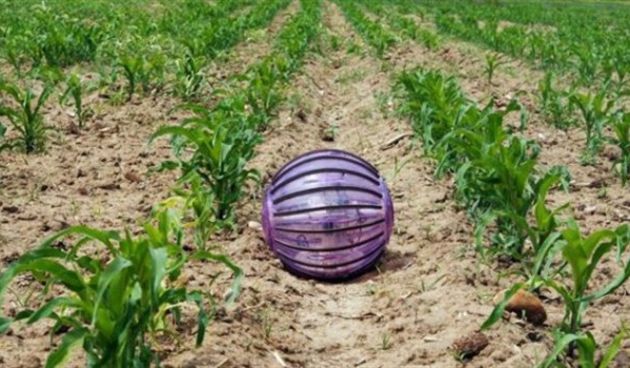 Robot pazi da kukuruzi imaju dovoljno vode, foto: UPM.es / Promo fotografije UPM.es (Foto)