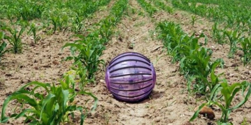 Robot pazi da kukuruzi imaju dovoljno vode, foto: UPM.es / Promo fotografije UPM.es (Foto)