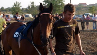 Polaca, utrke konja Oluja 95 Polaca, utrke konja Oluja 95