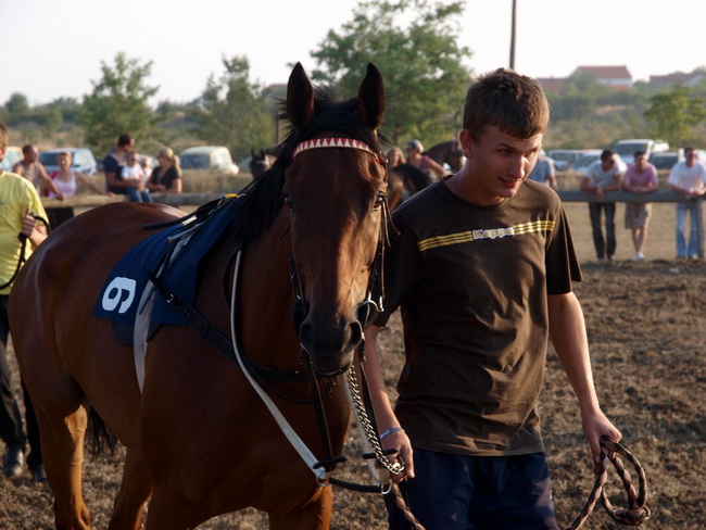 Polaca, utrke konja Oluja 95 Polaca, utrke konja Oluja 95