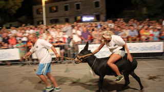 Tisno: Međunarodna trka tovarov 2013, Foto: Edin Kadić Tisno: Međunarodna trka tovarov 2013, Foto: Edin Kadić