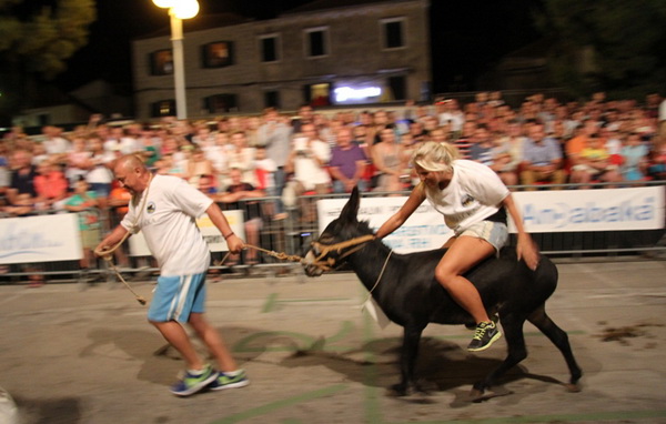 Tisno: Međunarodna trka tovarov 2013, Foto: Edin Kadić Tisno: Međunarodna trka tovarov 2013, Foto: Edin Kadić