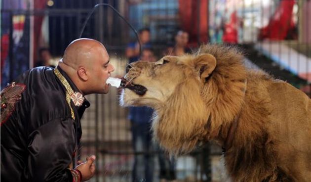 Vatikan odveo beskućnike u cirkus, foto: FAH