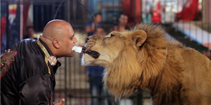 Vatikan odveo beskućnike u cirkus, foto: FAH Vatikan odveo beskućnike u cirkus, foto: FAH