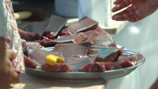 Kali, Ugljan, 080809.
Kali, mjesto na otoku Ugljanu osim sto ima najvecu ribarsku flotu na Jadranu, ima i najstariju festu na Jadranu “Tunuaru”. Festa traje dva dana, a obicaj je i da defile ribarskih brodova prodje Zadarskim kanalom. 
Nije nedostajalo ni