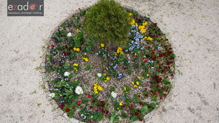 Đir po gradu, ponedjeljak 9. travnja 2018. Đir po gradu, ponedjeljak 9. travnja 2018.