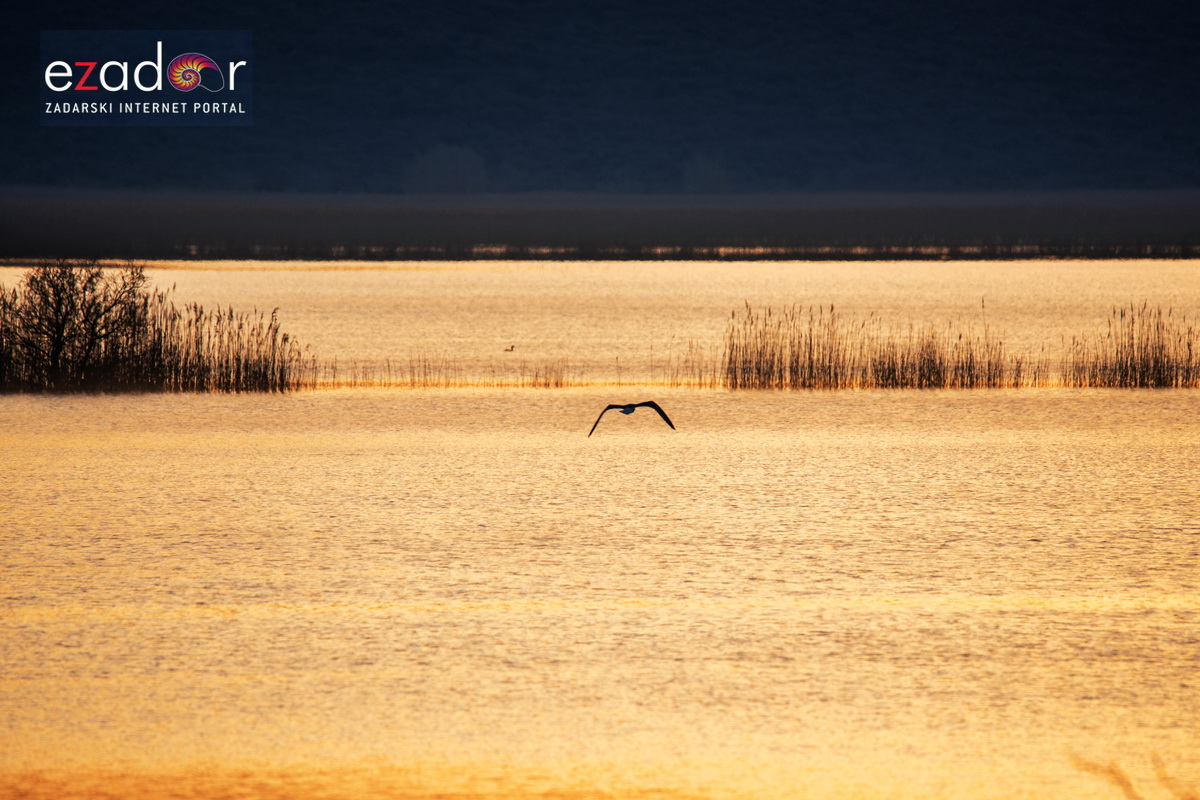 Nedjeljno svitanje na Vranskom jezeru Nedjeljno svitanje na Vranskom jezeru