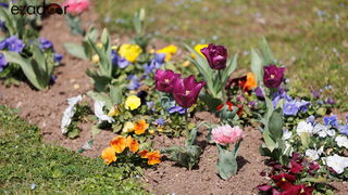 Đir po gradu, srijeda 22. ožujka 2023. Đir po gradu, srijeda 22. ožujka 2023.