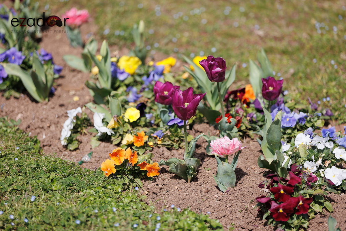 Đir po gradu, srijeda 22. ožujka 2023. Đir po gradu, srijeda 22. ožujka 2023.