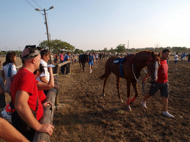 Polaca, utrke konja Oluja 95 Polaca, utrke konja Oluja 95