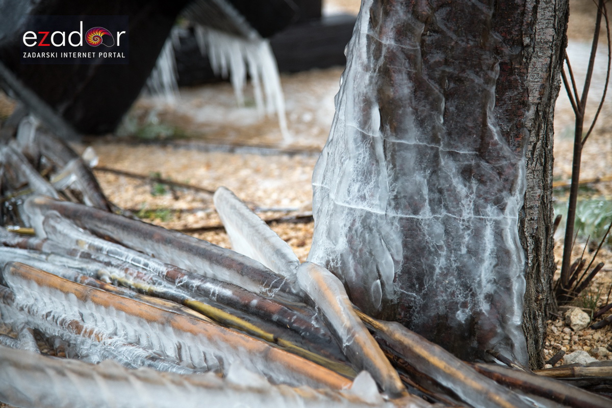 Zimska idila u Parku prirode Vransko jezero Zimska idila u Parku prirode Vransko jezero