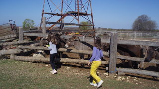 OLYMPUS DIGITAL CAMERA OLYMPUS DIGITAL CAMERA