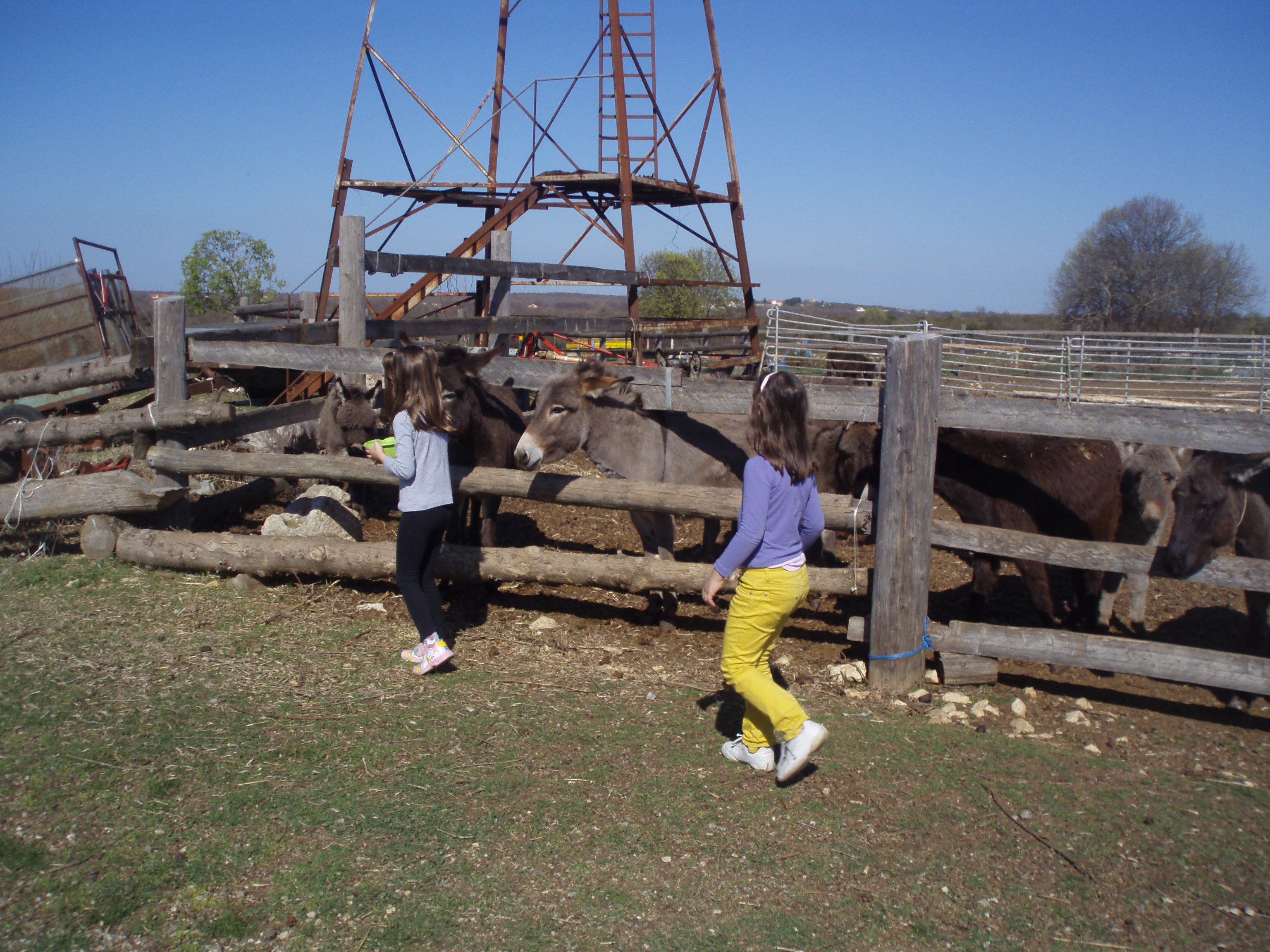 OLYMPUS DIGITAL CAMERA OLYMPUS DIGITAL CAMERA