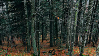 Sjeverni Velebit i Lika u jesen Sjeverni Velebit i Lika u jesen