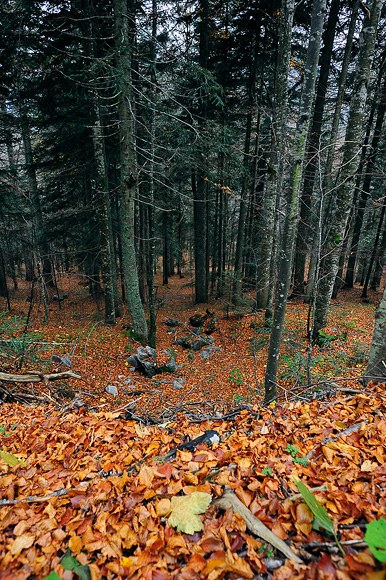 Sjeverni Velebit i Lika u jesen Sjeverni Velebit i Lika u jesen