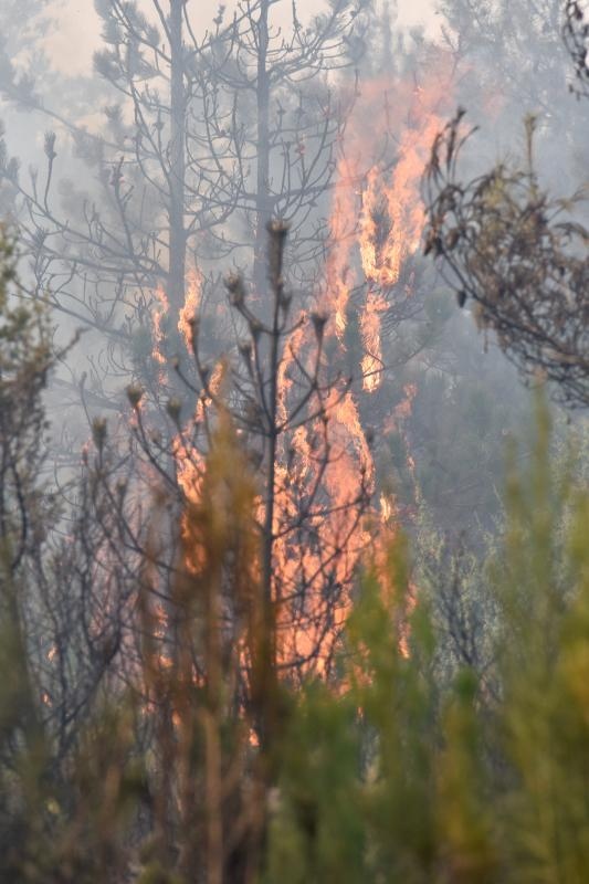 Veliki požar kod Ražanca uz vatrogasce gasili kanader i air tractor