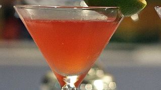 Havana Cup 2009. – 15. regionalno natjecanje barmena (foto: Marin Gospić)