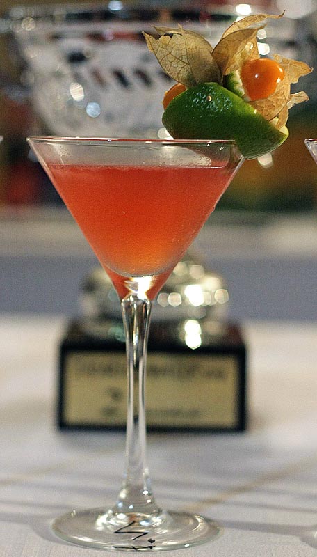 Havana Cup 2009. – 15. regionalno natjecanje barmena (foto: Marin Gospić)