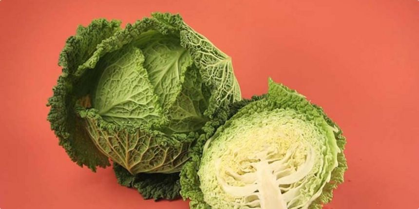 Kelj, foto: coolinarika Kelj, foto: coolinarika