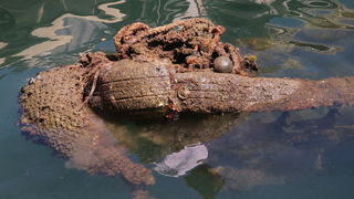 Ekološka akcija “Daj ruku za Jazine” Ekološka akcija “Daj ruku za Jazine”