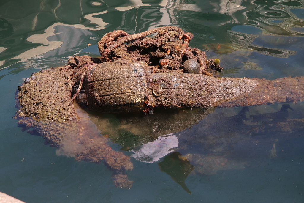 Ekološka akcija “Daj ruku za Jazine” Ekološka akcija “Daj ruku za Jazine”