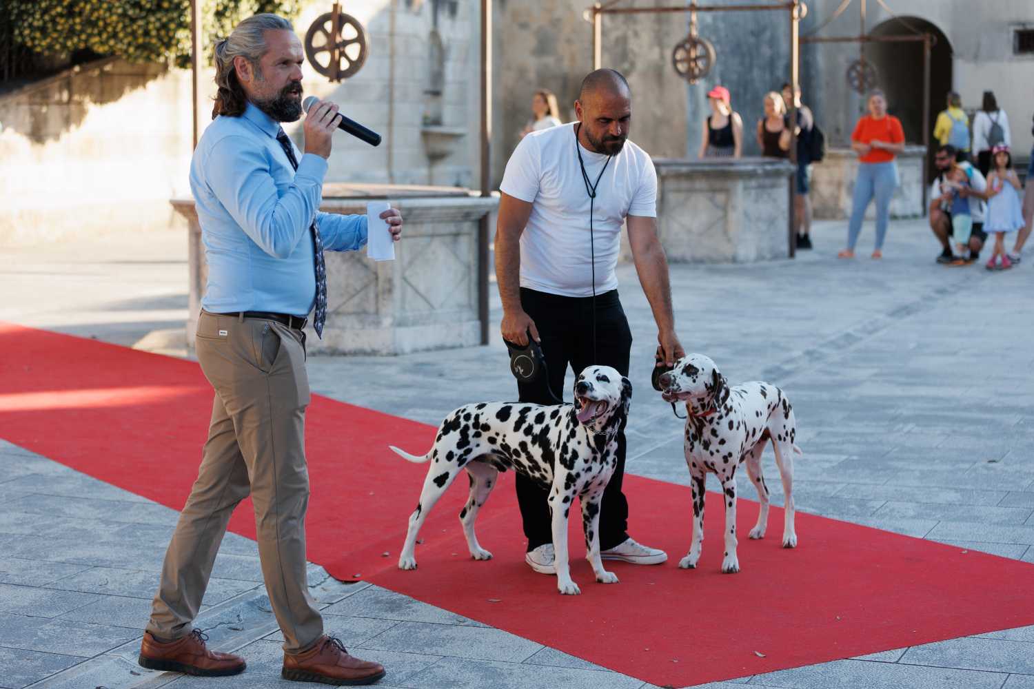 Red Carpet Dalmatian Walk @Trg pet bunara Red Carpet Dalmatian Walk @Trg pet bunara