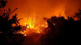 Vatrogasci gase pozar u Policima, Foto: Zdenko Knezevic
