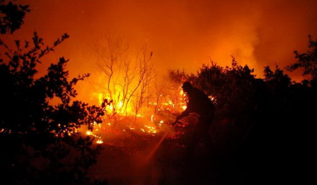 Vatrogasci gase pozar u Policima, Foto: Zdenko Knezevic
