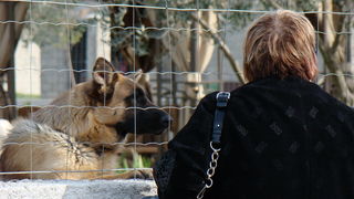 Humanitani uskrsni konvoj Zadar – Oklaj