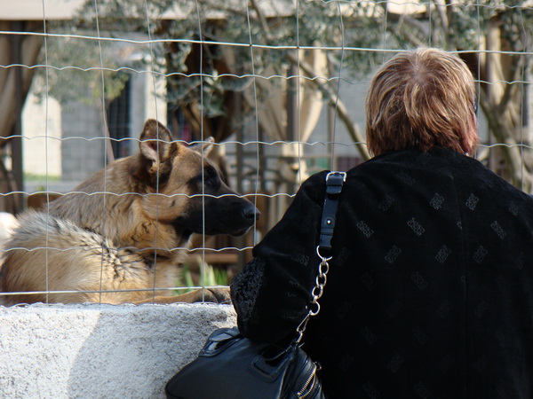 Humanitani uskrsni konvoj Zadar – Oklaj