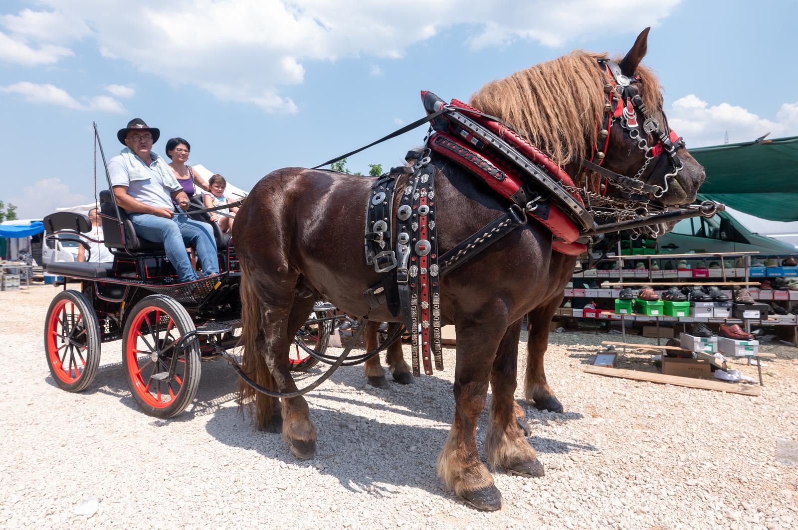 Benkovački sajam u objektivu Dina Stanina