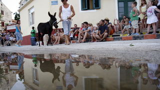 Sali, Dugi otok, 100809.
“Svako misto svoju festu ima…”, no ne traje svaka festa tri dana kao ona u mjestu Sali na Dugom otoku. Saljske uzance, kako mjestani nazivaju svoju festu, odrzava se ove godine po pedeseti put, kao i svake godine dosad, vikend p Sali, Dugi otok, 100809.
“Svako misto svoju festu ima…”, no ne traje svaka festa tri dana kao ona u mjestu Sali na Dugom otoku. Saljske uzance, kako mjestani nazivaju svoju festu, odrzava se ove godine po pedeseti put, kao i svake godine dosad, vikend p