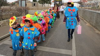 Virski karnevalić 2016. Virski karnevalić 2016.
