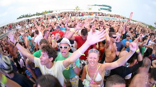 David Morales u Papayi na Zrcu