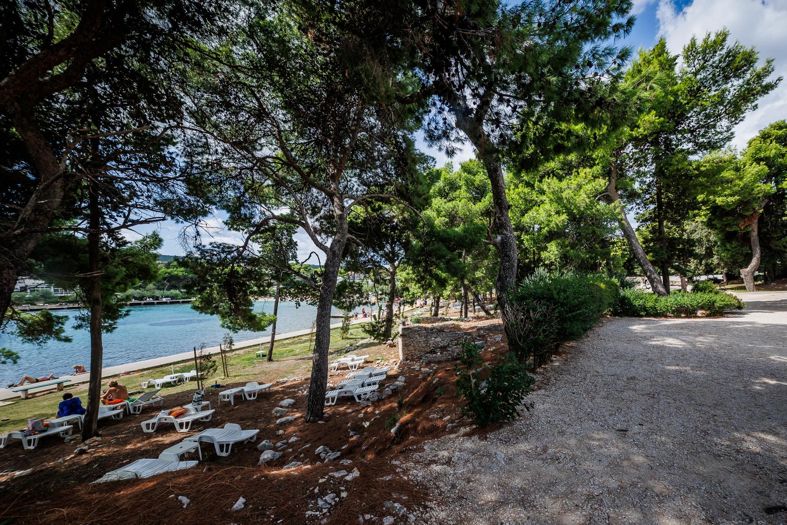 Ivan Rendić Ivan Rendić