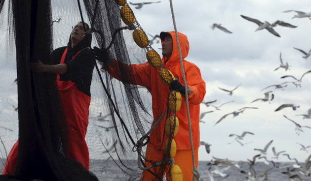 Zadar, 211009.
Brod Bruno tvrtke Dalmacija ribolov iz Zadra dva je dana lovio srdele  u akvatoriju Losinja i Dugog otoka.
Na fotografiji: ribari Dominik Benic i Alen Kosi slazu mrezu.
Foto: Vladimir Ivanov / CROPIX