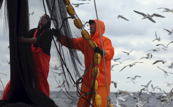 Zadar, 211009.
Brod Bruno tvrtke Dalmacija ribolov iz Zadra dva je dana lovio srdele  u akvatoriju Losinja i Dugog otoka.
Na fotografiji: ribari Dominik Benic i Alen Kosi slazu mrezu.
Foto: Vladimir Ivanov / CROPIX