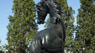 Matruanti Zadarske privatne gimnazije u Parizu, Foto: Valentino Radman