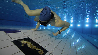 SC Višnjik: Podvodna izložba ronilačkog kluba “Roko” SC Višnjik: Podvodna izložba ronilačkog kluba “Roko”