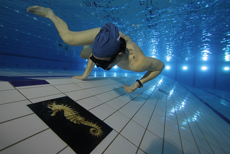 SC Višnjik: Podvodna izložba ronilačkog kluba “Roko” SC Višnjik: Podvodna izložba ronilačkog kluba “Roko”