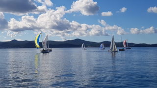 Zadarska Koka 2016. 22. listopada 2016. Foto: Mladen Malik Zadarska Koka 2016. 22. listopada 2016. Foto: Mladen Malik