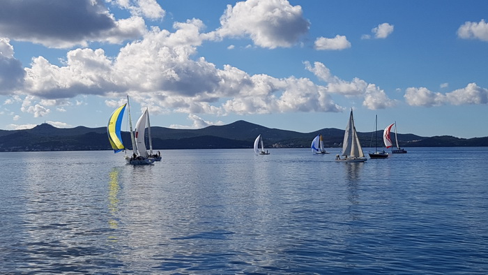 Zadarska Koka 2016. 22. listopada 2016. Foto: Mladen Malik Zadarska Koka 2016. 22. listopada 2016. Foto: Mladen Malik