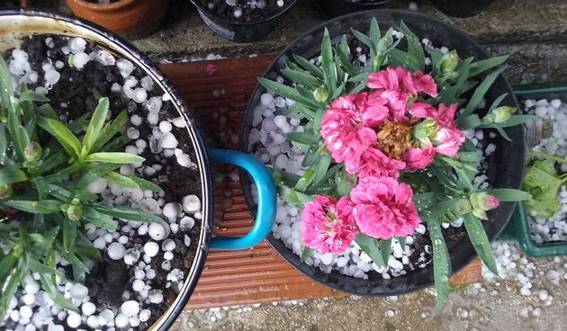 Posljedice krupe u Biogradu na moru