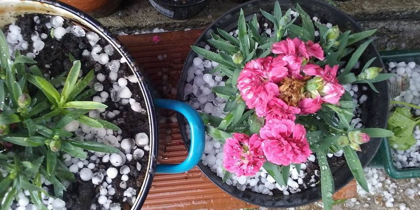 Posljedice krupe u Biogradu na moru