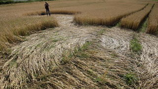 Cakovec, 280610.
Izmedju mjesta Donji Koncovscak i Sveti Martin na Muri u zitu pojavili su se misteriozni krugovi. Mjestani okolnih kuca ne vjeruju da se radi o vanzemaljcima, vec da je rijec o sali lokalnih mjestana.
Foto: Zeljko Hajdinjak / CROPIX Cakovec, 280610.
Izmedju mjesta Donji Koncovscak i Sveti Martin na Muri u zitu pojavili su se misteriozni krugovi. Mjestani okolnih kuca ne vjeruju da se radi o vanzemaljcima, vec da je rijec o sali lokalnih mjestana.
Foto: Zeljko Hajdinjak / CROPIX