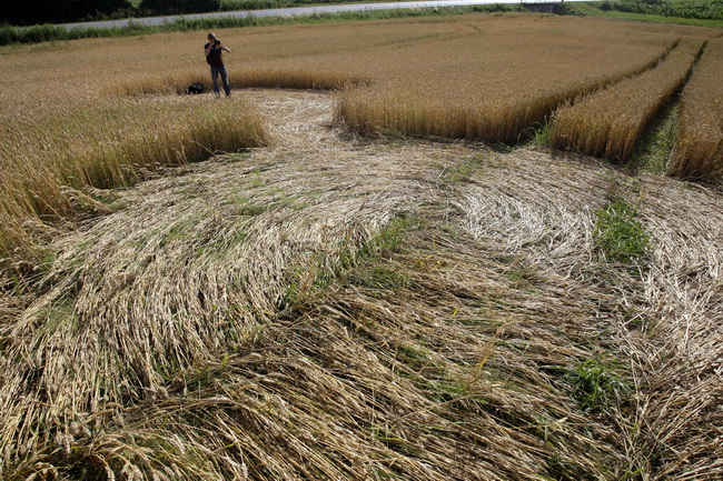 Cakovec, 280610.
Izmedju mjesta Donji Koncovscak i Sveti Martin na Muri u zitu pojavili su se misteriozni krugovi. Mjestani okolnih kuca ne vjeruju da se radi o vanzemaljcima, vec da je rijec o sali lokalnih mjestana.
Foto: Zeljko Hajdinjak / CROPIX Cakovec, 280610.
Izmedju mjesta Donji Koncovscak i Sveti Martin na Muri u zitu pojavili su se misteriozni krugovi. Mjestani okolnih kuca ne vjeruju da se radi o vanzemaljcima, vec da je rijec o sali lokalnih mjestana.
Foto: Zeljko Hajdinjak / CROPIX