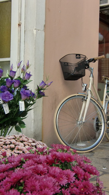 Gradska trznica uoci dana mrtvih, Foto: Mia Knezevic