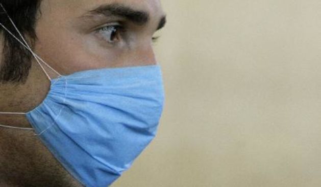 Svinjska gripa (Foto: telegraph.co.uk)