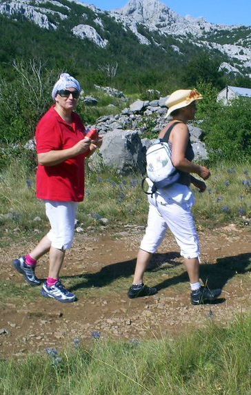 SAMSUNG DIGIMAX A403