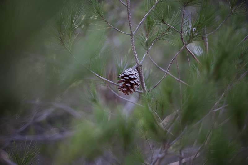 Ugodno prijepodne uz tok rijeke Karešnice i stare zapuštene mlinove, foto: Darko Belančić